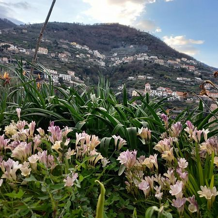 La Margherita Fiorita Ravello Exterior foto